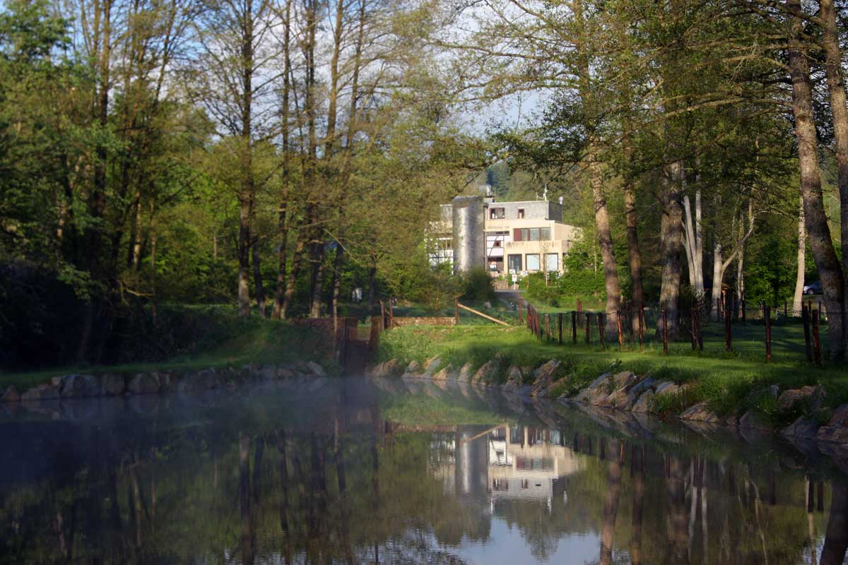 Morgenstimmung am Teich der Naturcampinganlage Schafbachmühle